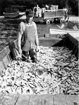 historic Lake Michigan fisheries in Menominee