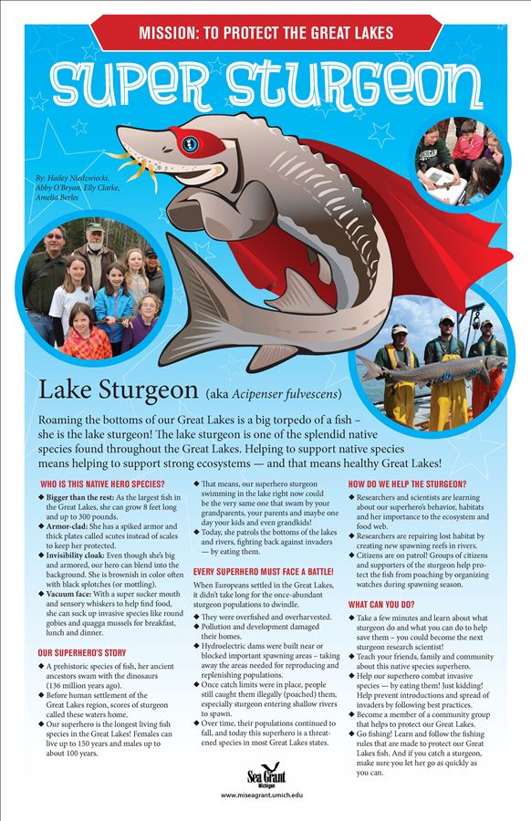 147xx_great_lakes_heros_sturgeon3.jpg