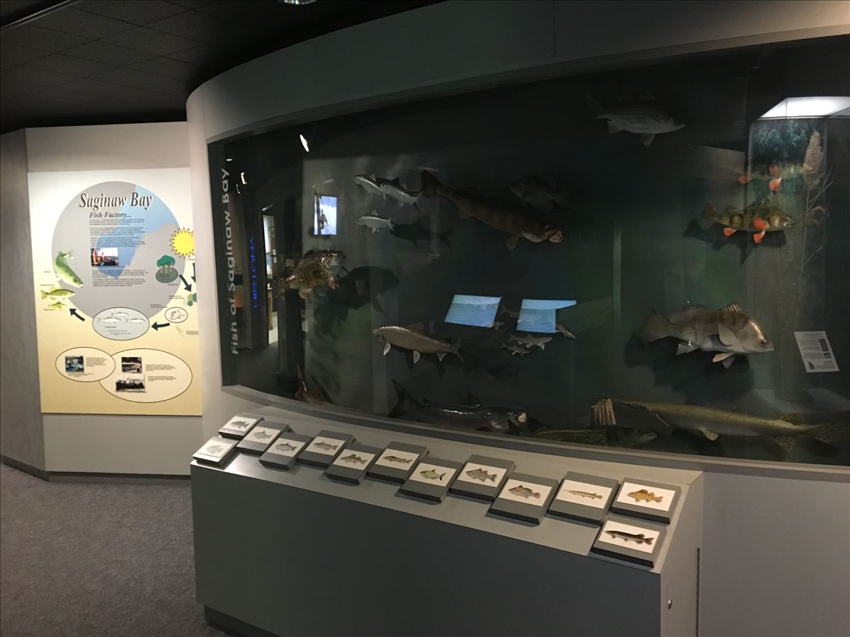 Exhibits, Saginaw Bay Visitor Center
