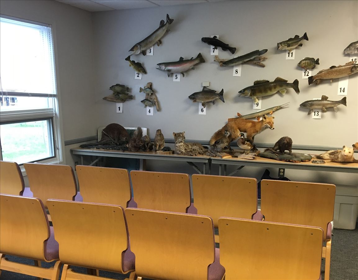 Classroom Saginaw Bay Visitor Center