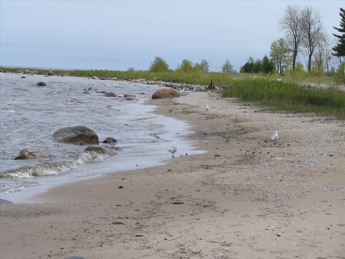 1sturgeon_point_033.jpg