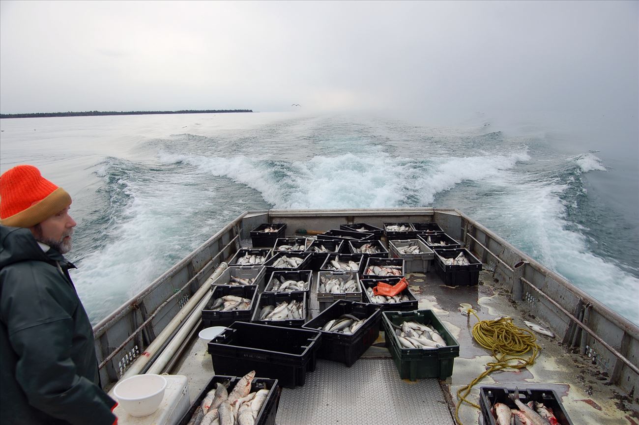 The Life of a Commercial Fisherman - Great Lakes Fisheries Heritage Trail