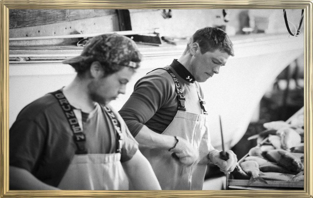 Processing Fish