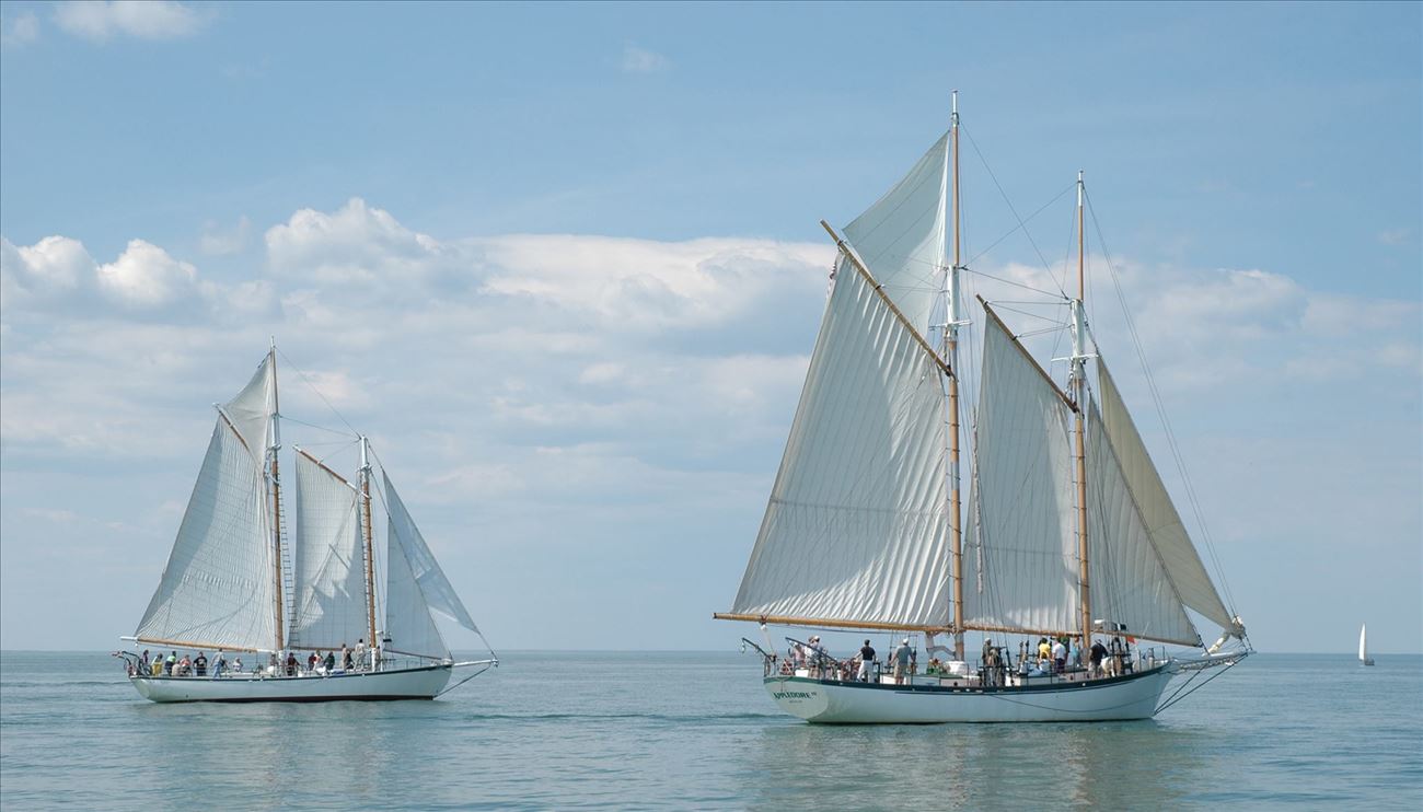 bay_sail_schooners_bay_sail.jpg