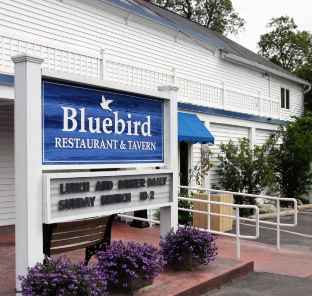 bluebirdentry620x588.jpg