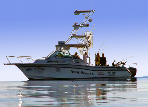 Trout Scout V