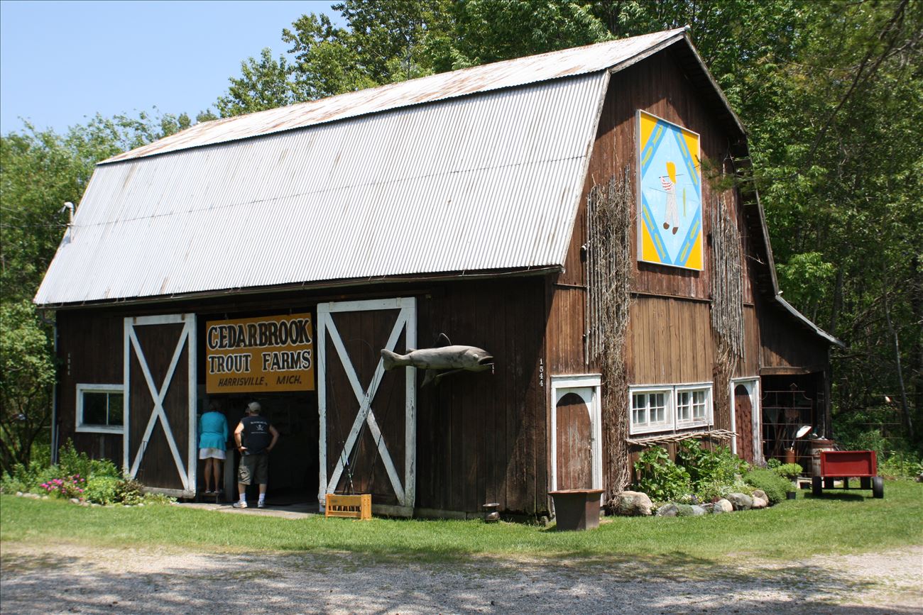 cedarbrook_trout_farm_1.jpg