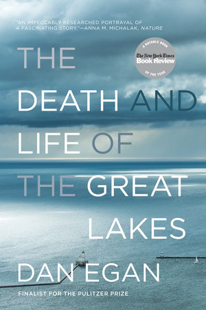 death_and_life_of_gl_cover2.png