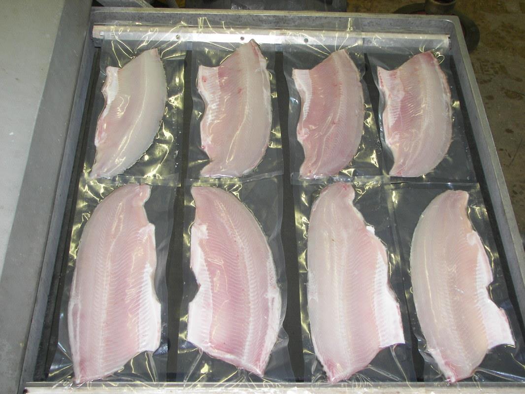 Packaged Fish Filets