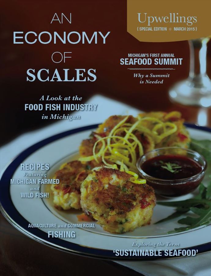 economy_of_scales_upwellings_cover_page_image.jpg