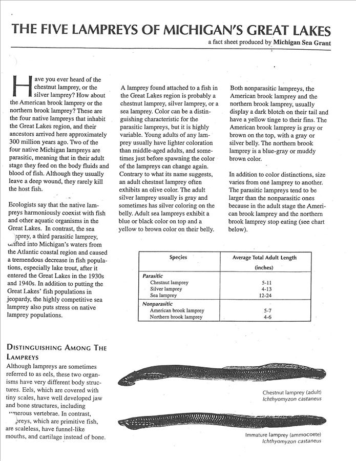 five_lampreys_of_michigans_graet_lakes_michigan_sea_grant_1997_page_1.jpg
