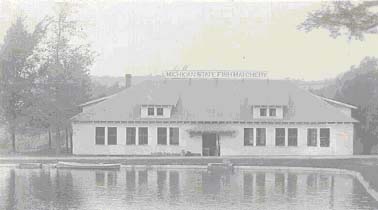 Harrietta Hatchery, 1928