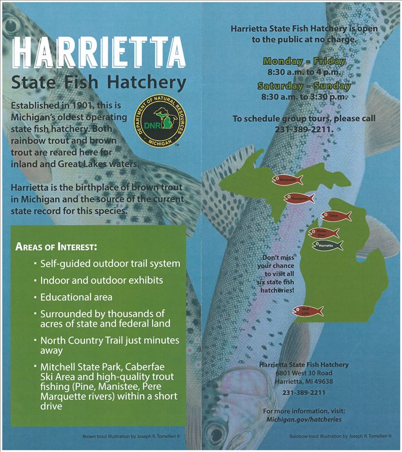 harrietta_state_fish_hatchery.jpg