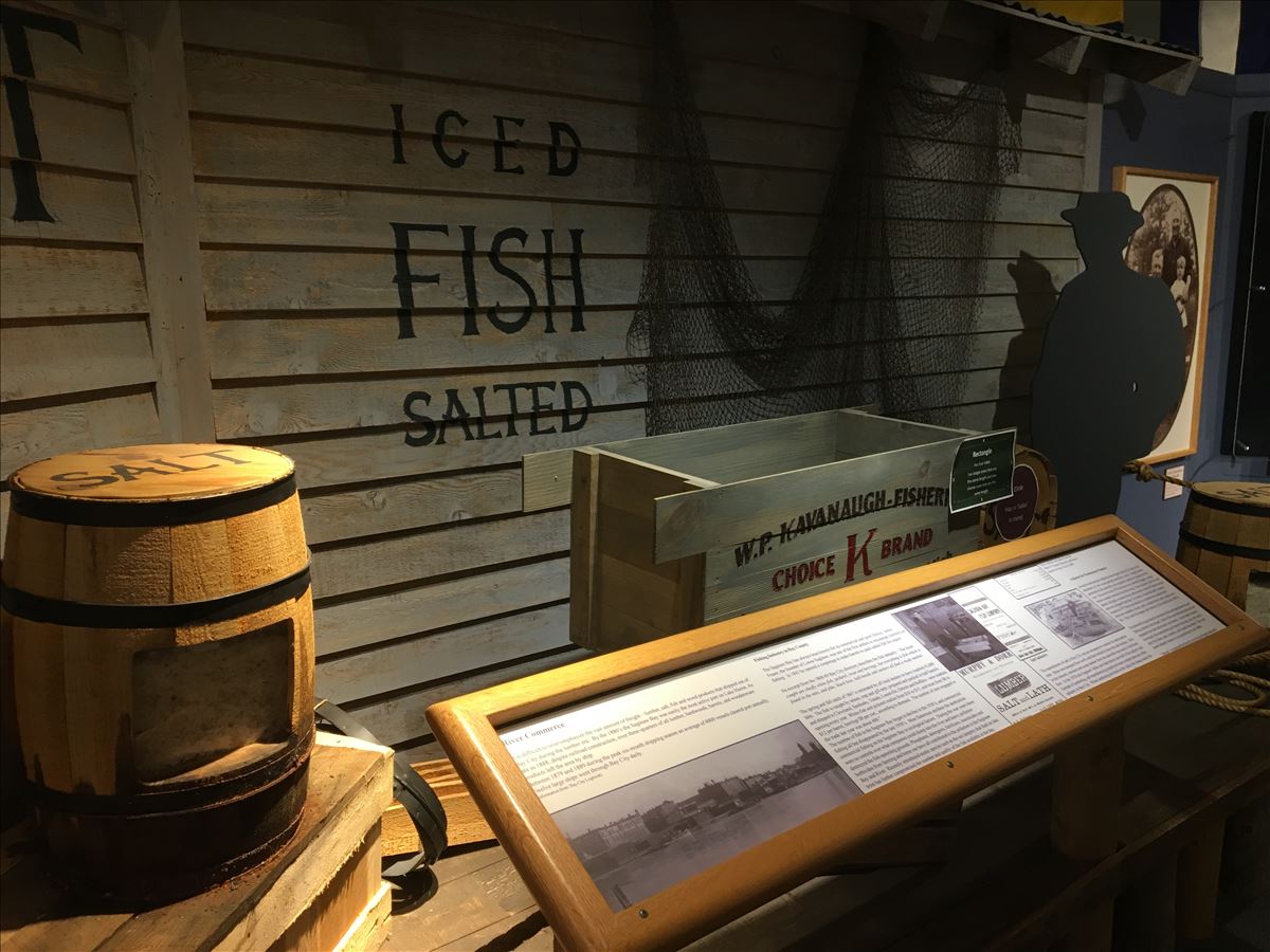 Fisheries Exhibit at Bay County Historical Museum