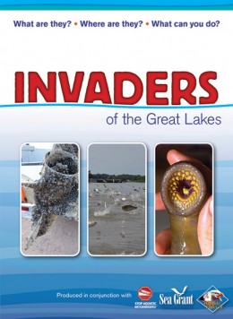invaders.jpg