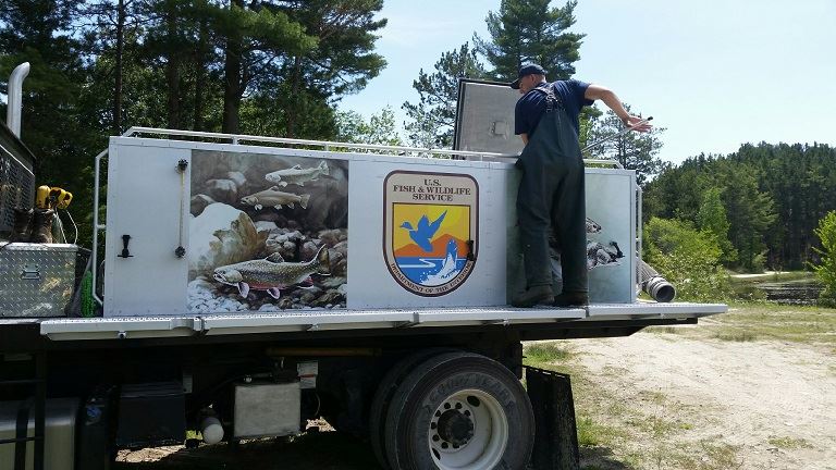 Fish transport 