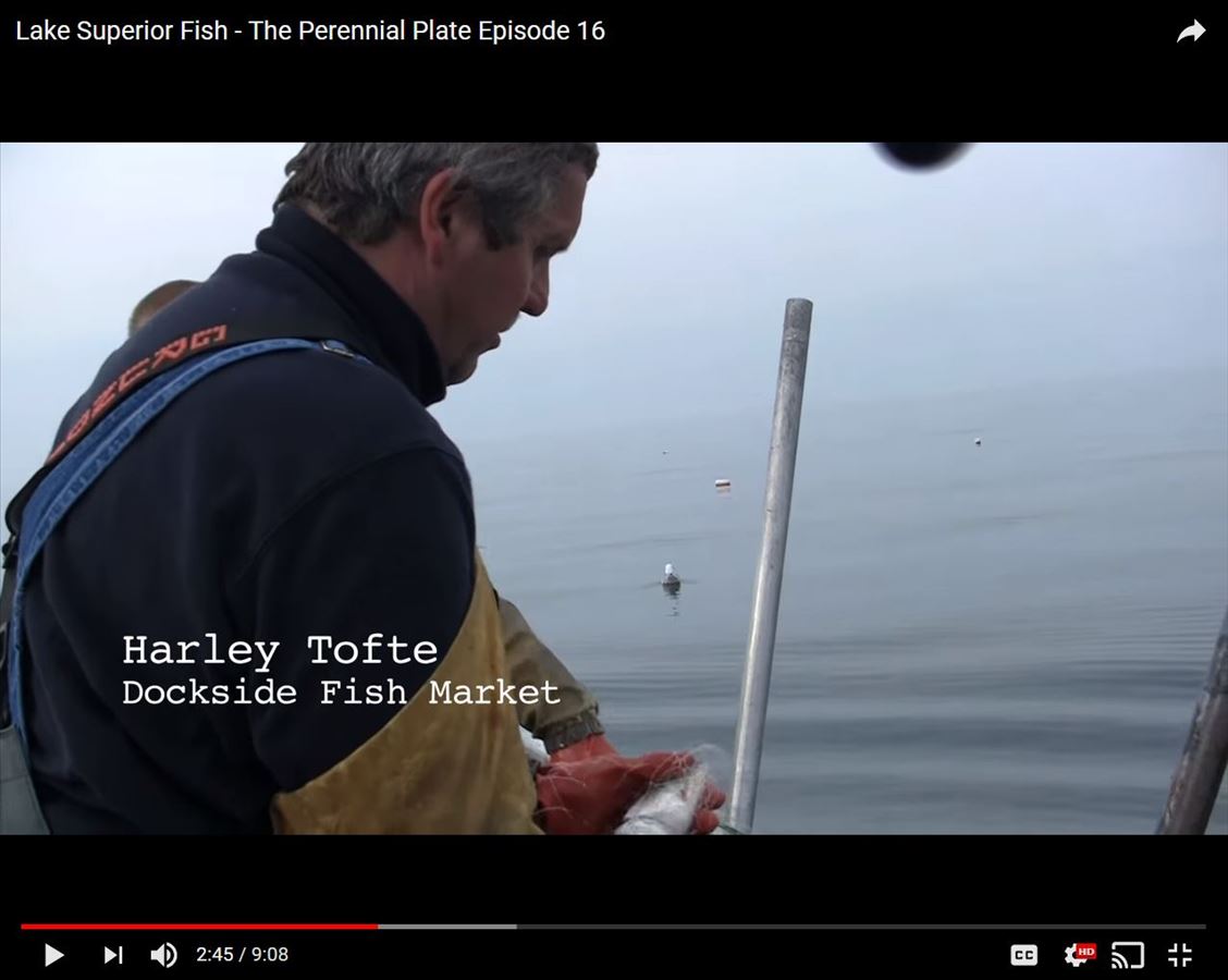 lake_superior_fish_perennial_plate_dockside_fish_market.jpg