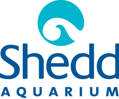 logo_shedd.png