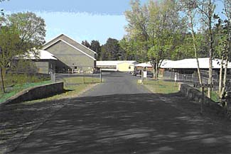 Marquette Hatchery 1998