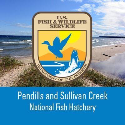 Pendills & Sullivan Creek National Fish Hatchery