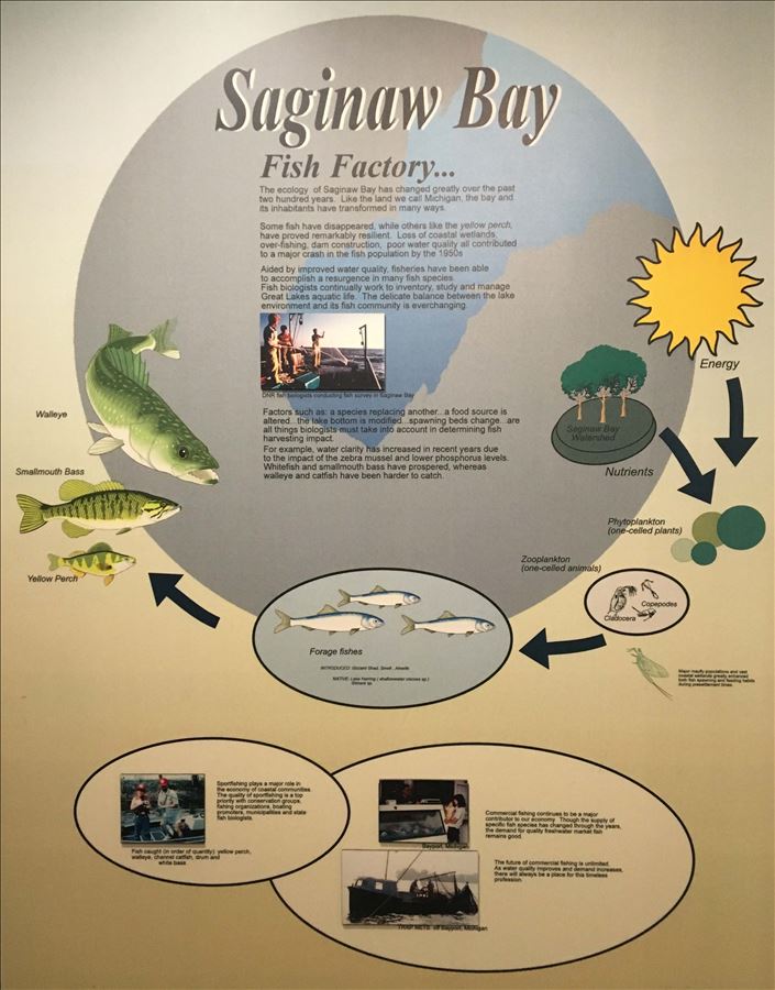 Saginaw Bay Fisheries