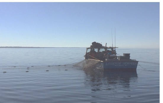 Great Lakes Fishing Vessels Over Time