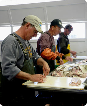 Dave, Paul and Gary fillet fish faster than the eye can see