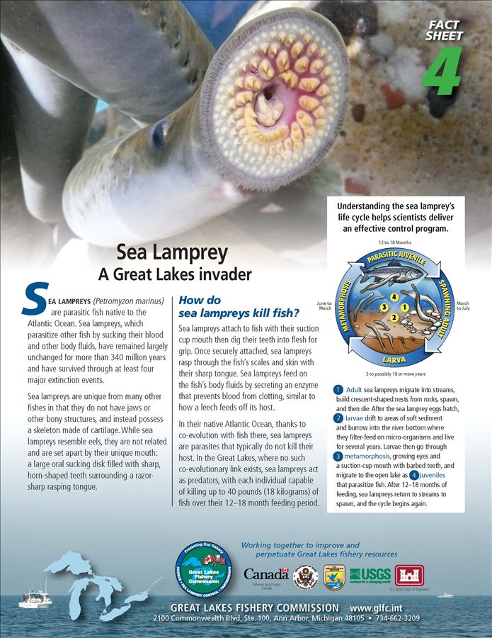 glfc_fact_4_140913_hr_page_1.jpg