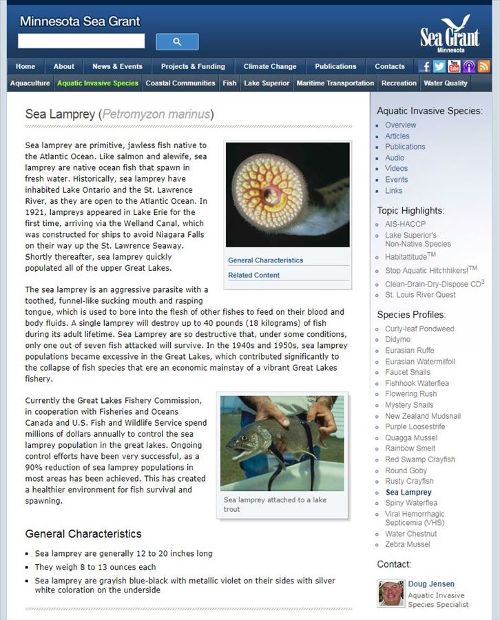 Sea Lamprey life history profile 